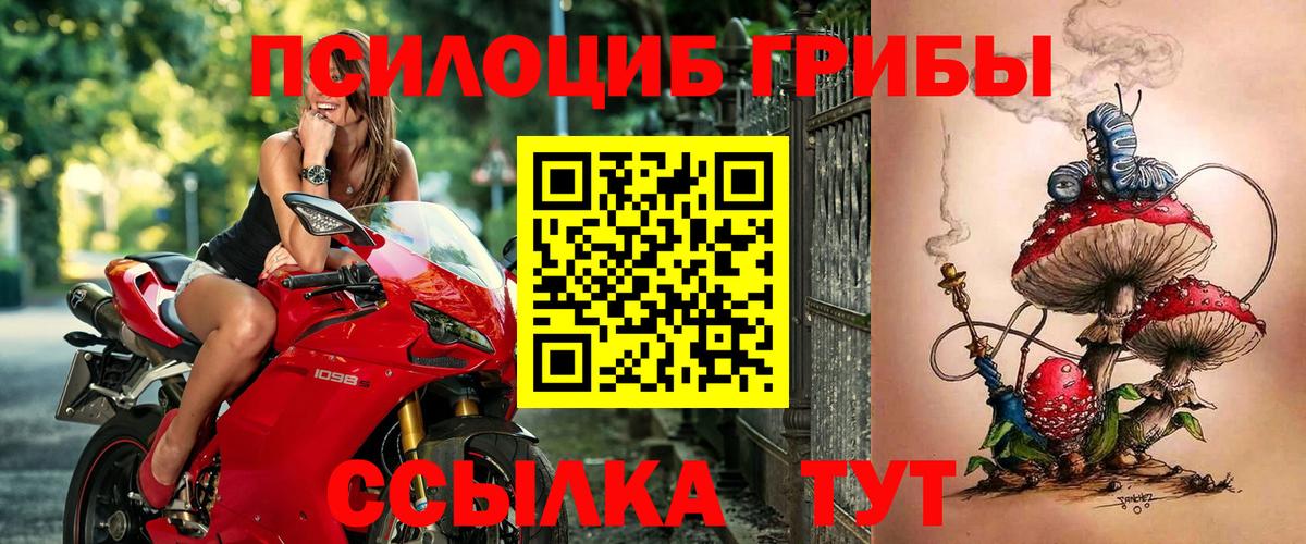 что такое   Вход с VPN  Кирово-Чепецк  Галлюциногенные грибы мицелий 